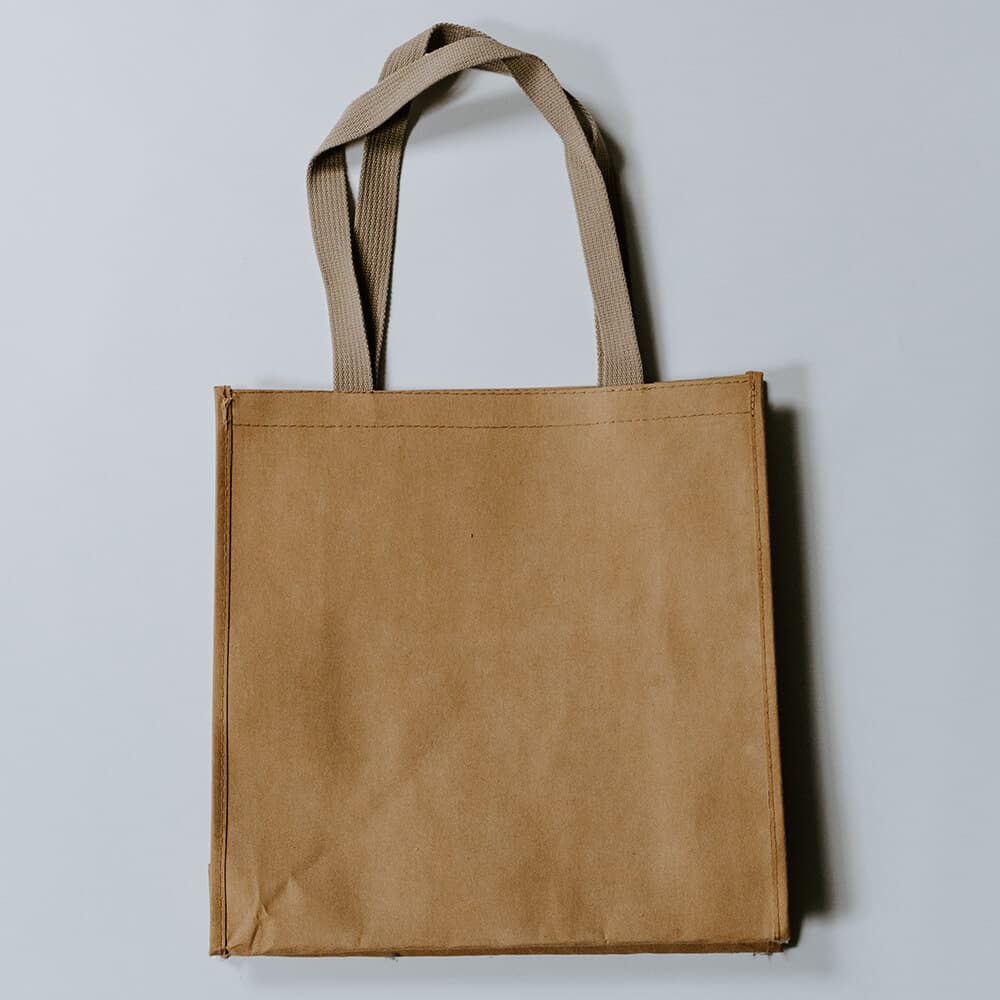 Recycled Paper Bag